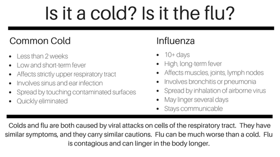 Is it a cold? Is it the flu?