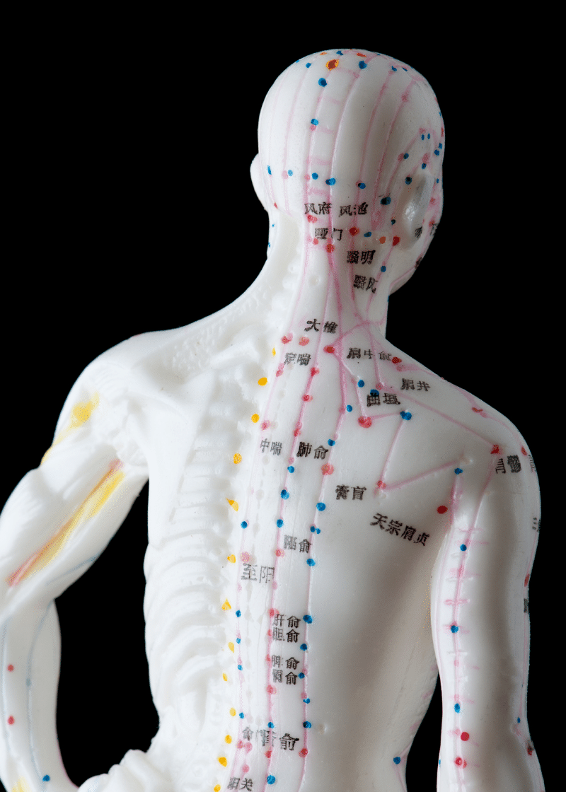 Types of Pain Part 2: Muscular Pain - Moyer Total Wellness