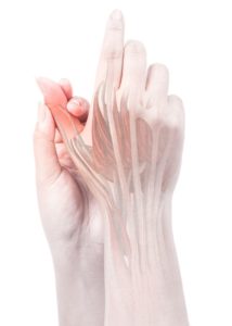 person rubbing thumb showing muscles and tendons in finger and hand