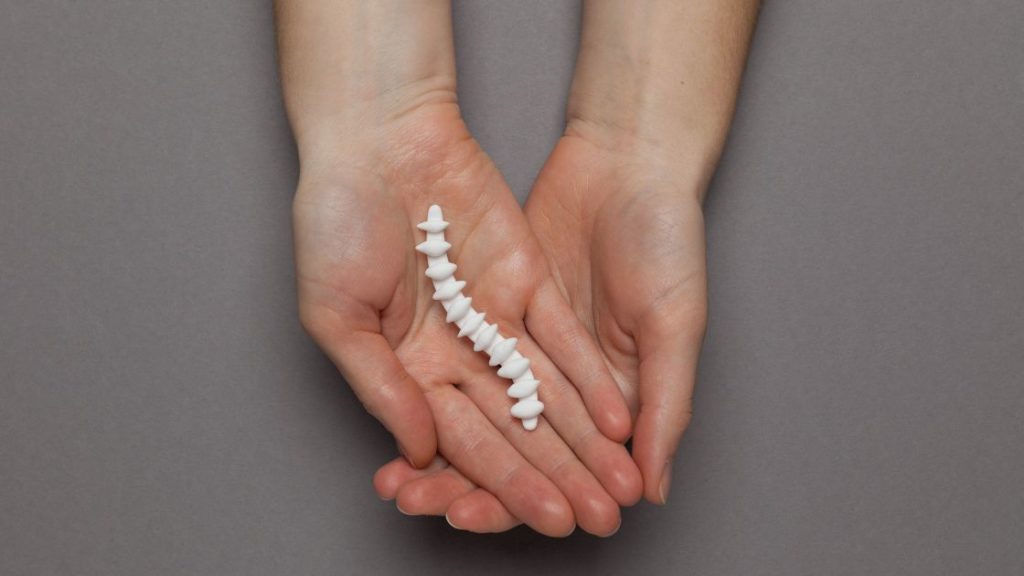 hands holding a tiny spine
