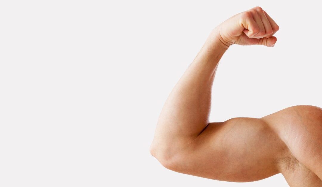 Muscle Group of the Week: Biceps