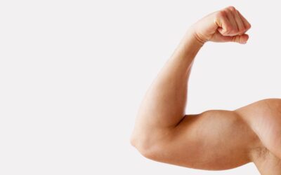 Muscle Group of the Week: Biceps