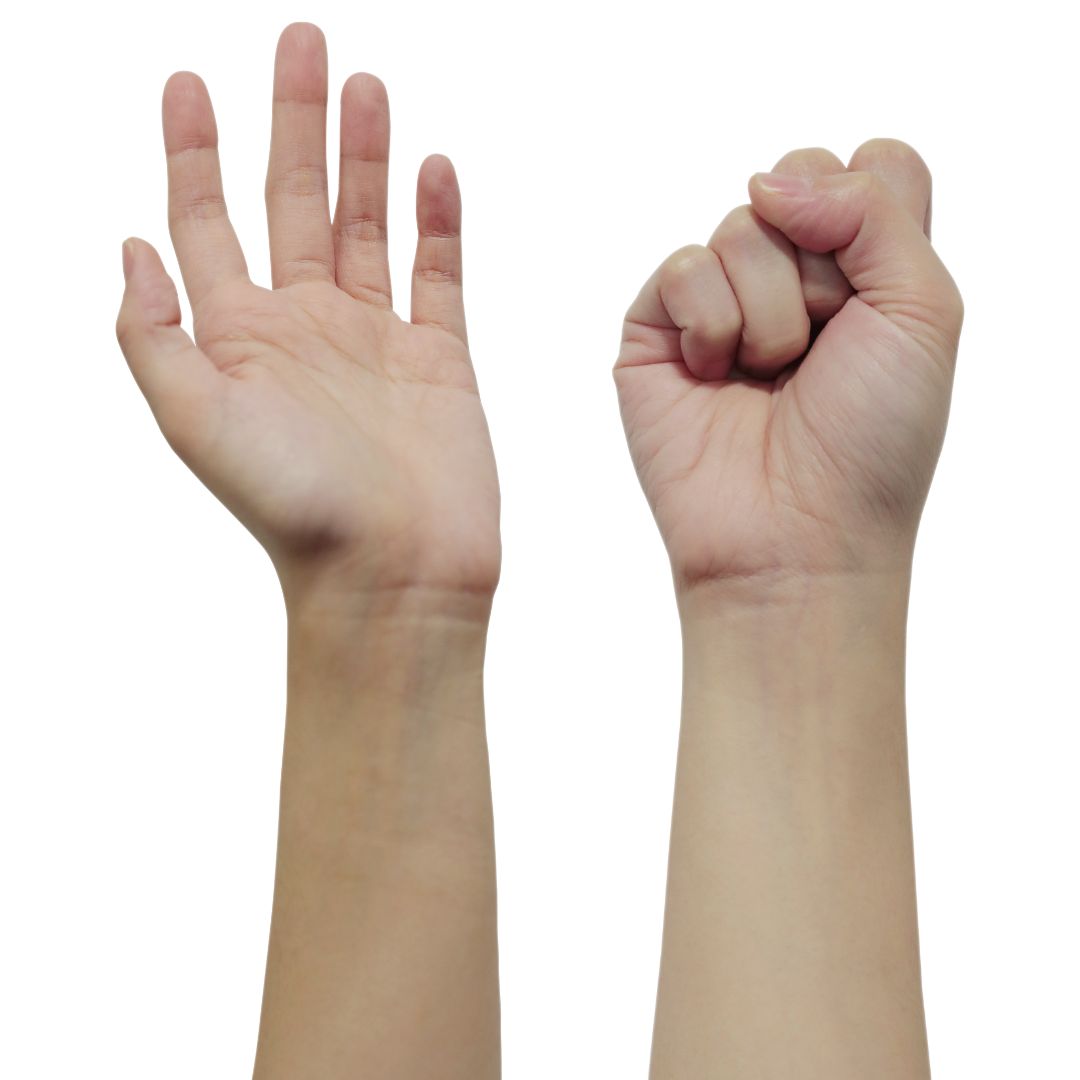 two hands showing how to make and release fist