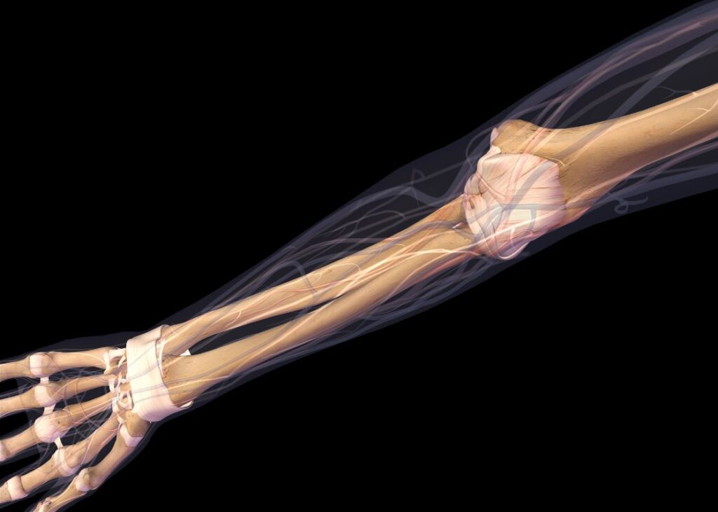female arm elbow joint and bones on xray with a black background