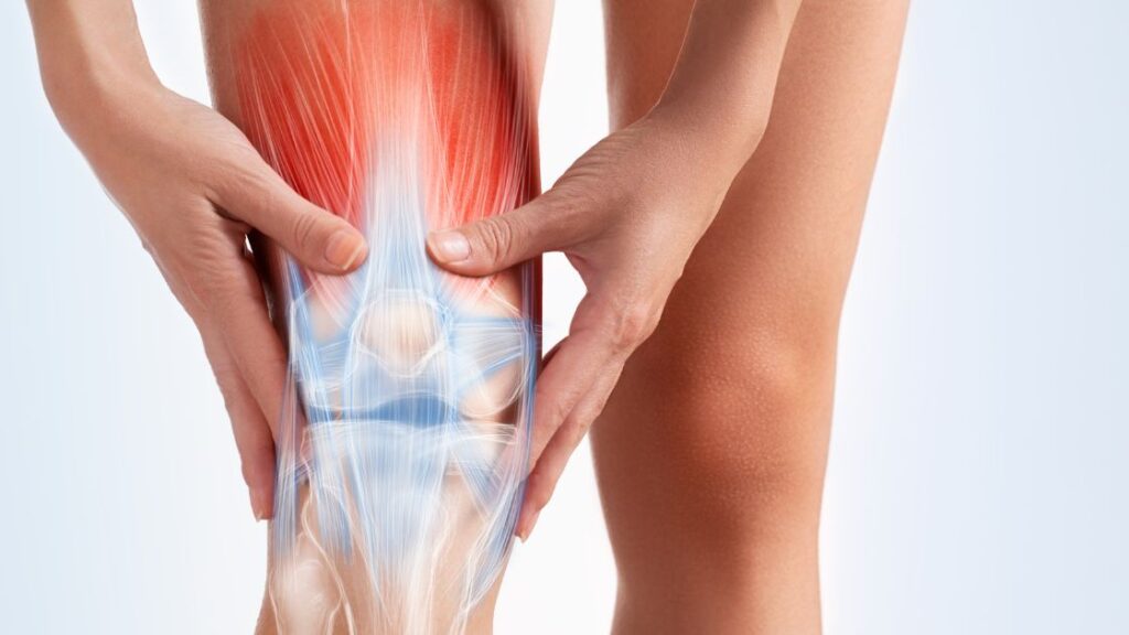 anatomy graphic in knee shown with knee pain