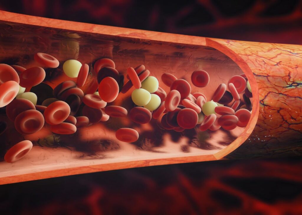 graphic of blood cells flowing through veins