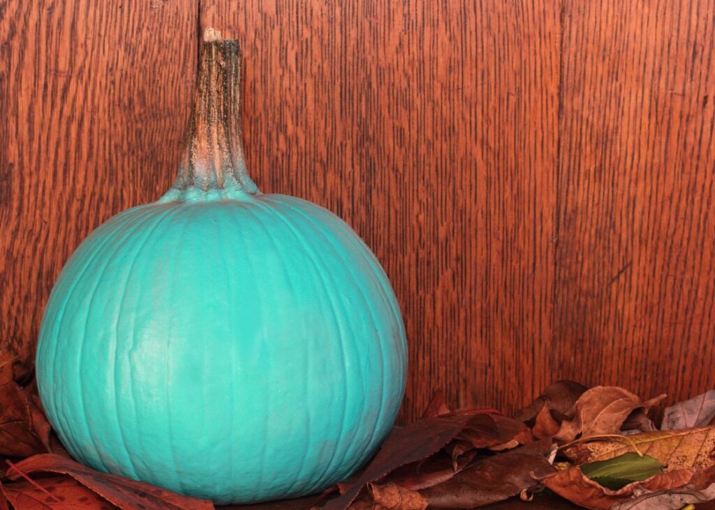 teal pumpkin