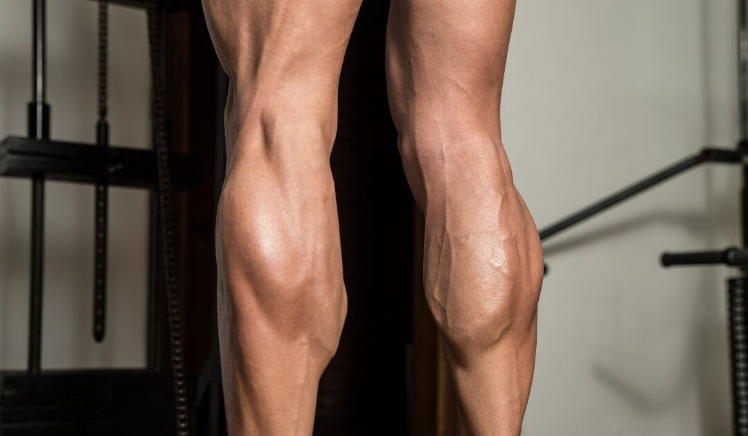 The Venous Pump That Is Your Soleus